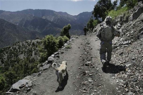 Afghan Mountain Dog