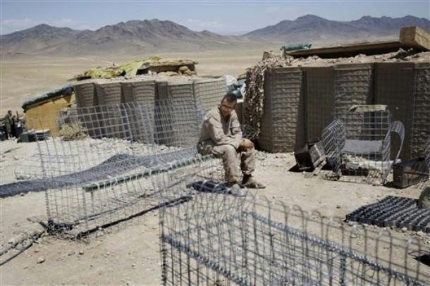 [Image]
