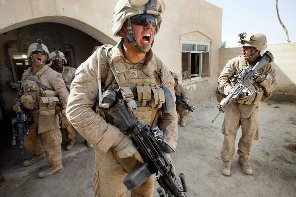[Image]