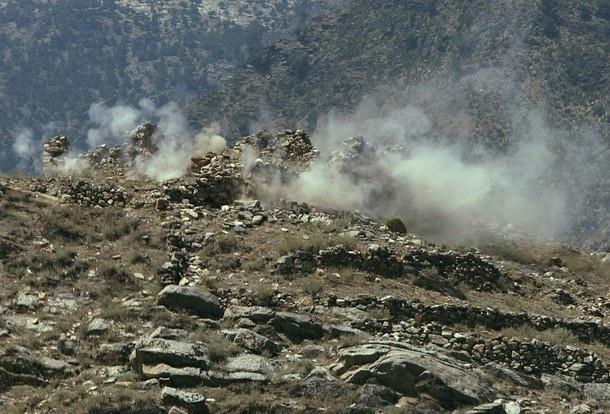 [Image]